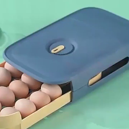 Drawer Type Refrigerator Egg Storage Box Keeping D